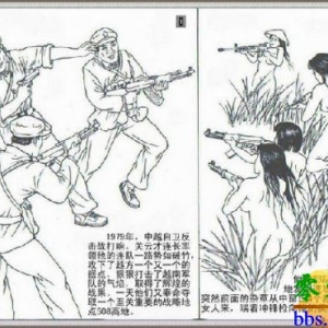 对越自卫反击战：越南女兵真正裸体上阵 图