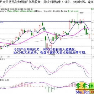 和讯期市观察：空单回补止跌