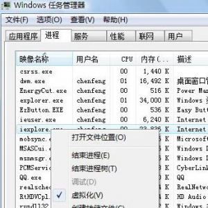 Windowsvista任务管理器中的进程点击右键后有虚拟化选项,是什么意思?