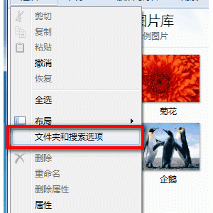 Windows7系统中如何启用或禁用以缩略图的形式显示图标？