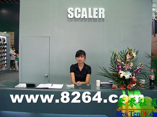 2007޻Ʒչ֮Scalerչλ