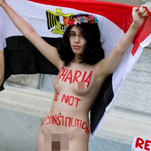 埃及20岁女大学生冒着严寒裸体示威
