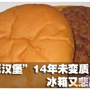 麦当劳不死汉堡14年未变质腐烂 逆天的防腐食品秒杀冰箱