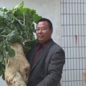 村民在自家院子挖出巨型萝卜 重28.5斤